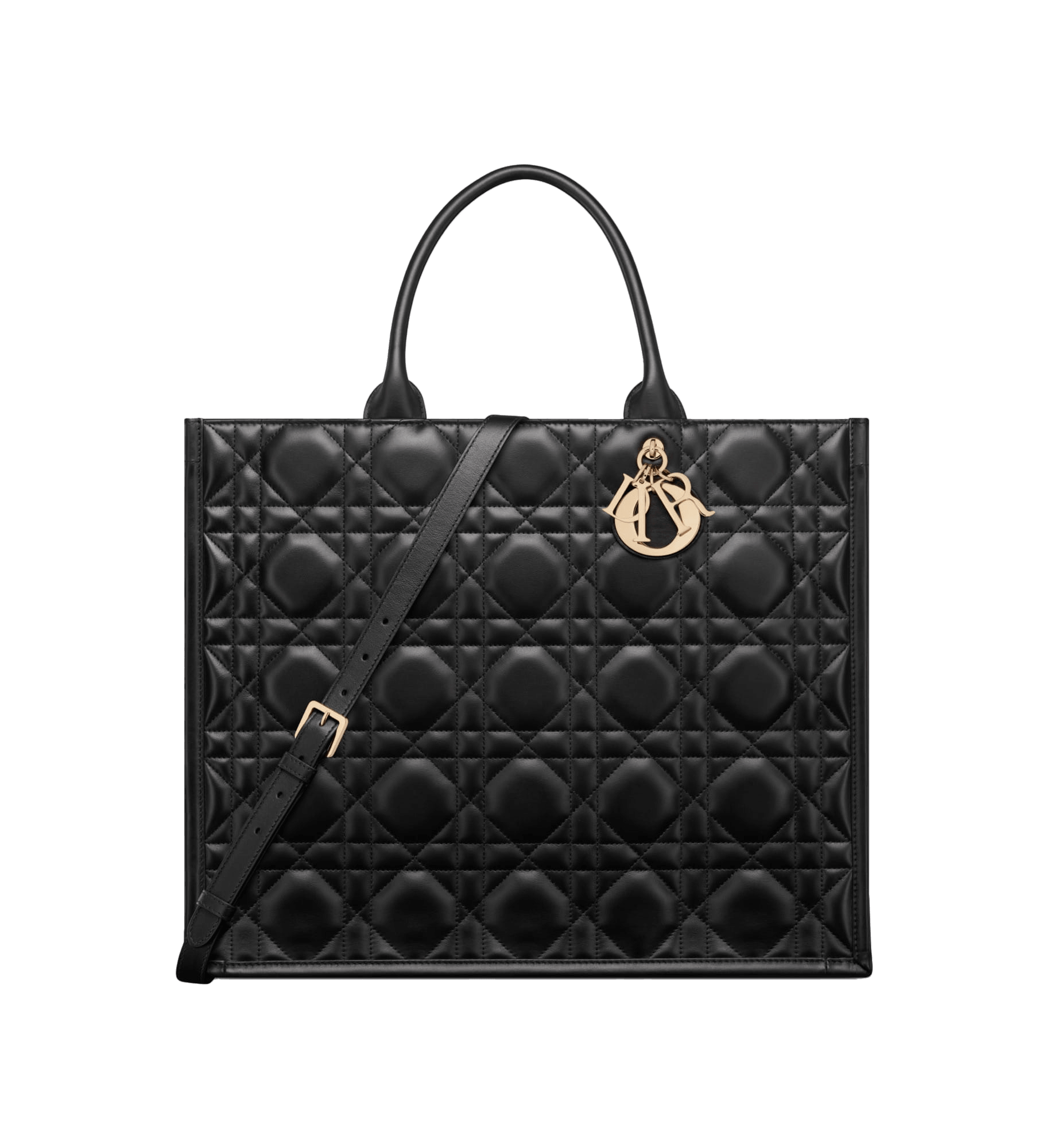Large Dior Book Tote